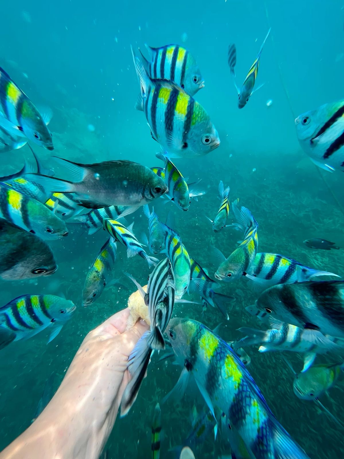 Zanzibar Tours